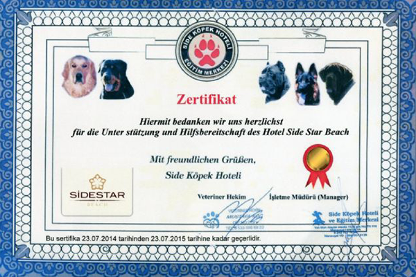 Köpek Evine Destek Oluyoruz